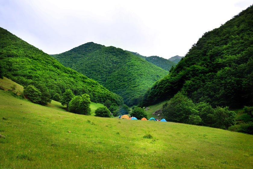 جنگل ارسباران جنگل ارسباران