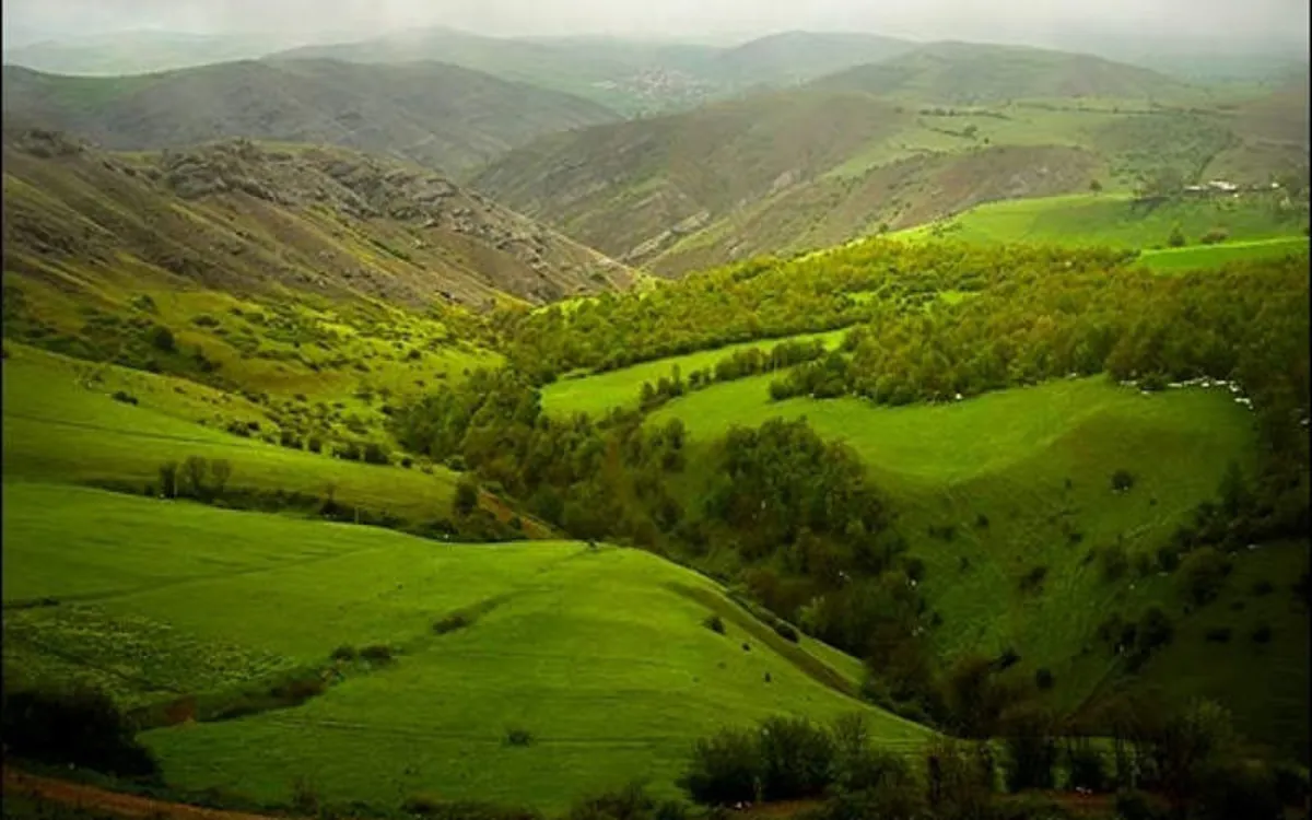 جنگل ارسباران جنگل ارسباران