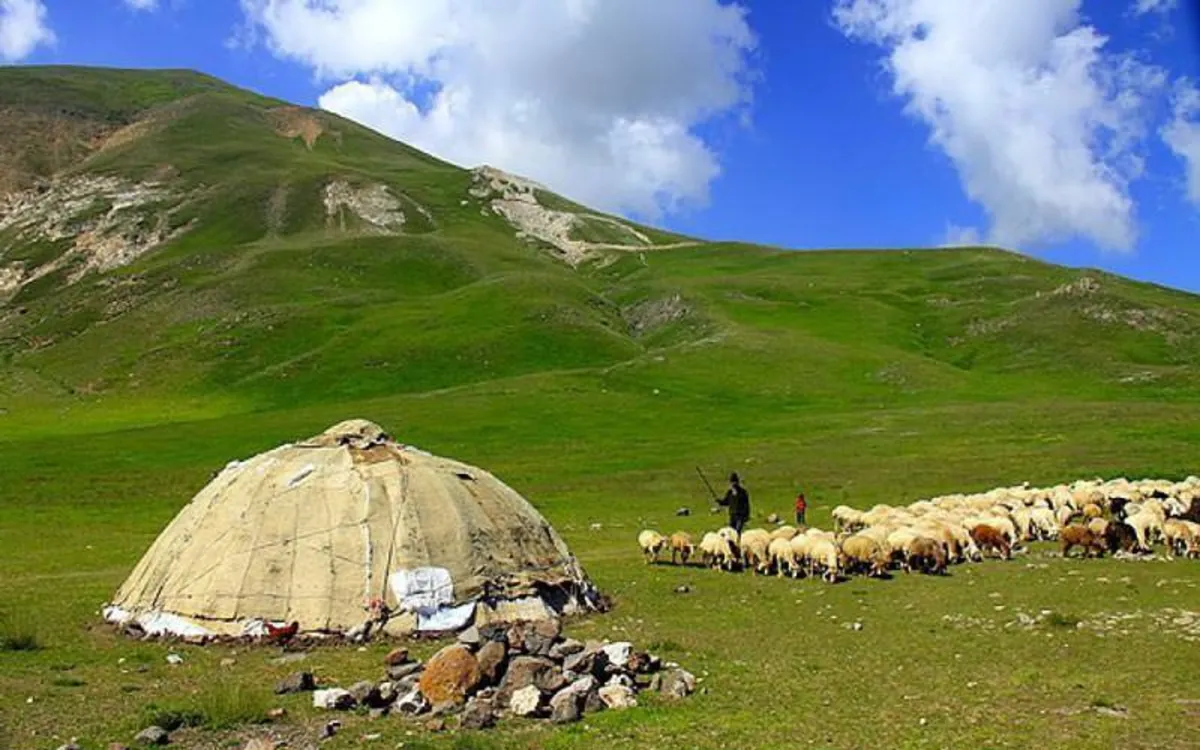 جنگل ارسباران جنگل ارسباران
