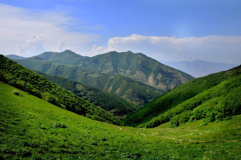 جنگل ارسباران جنگل ارسباران