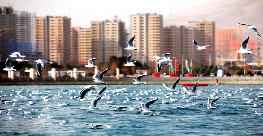 دریاچه چیتگر دریاچه چیتگر