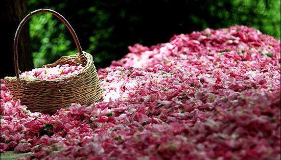 جاهای دیدنی قمصر جاهای دیدنی قمصر