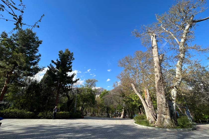 پارک قیطریه تهران