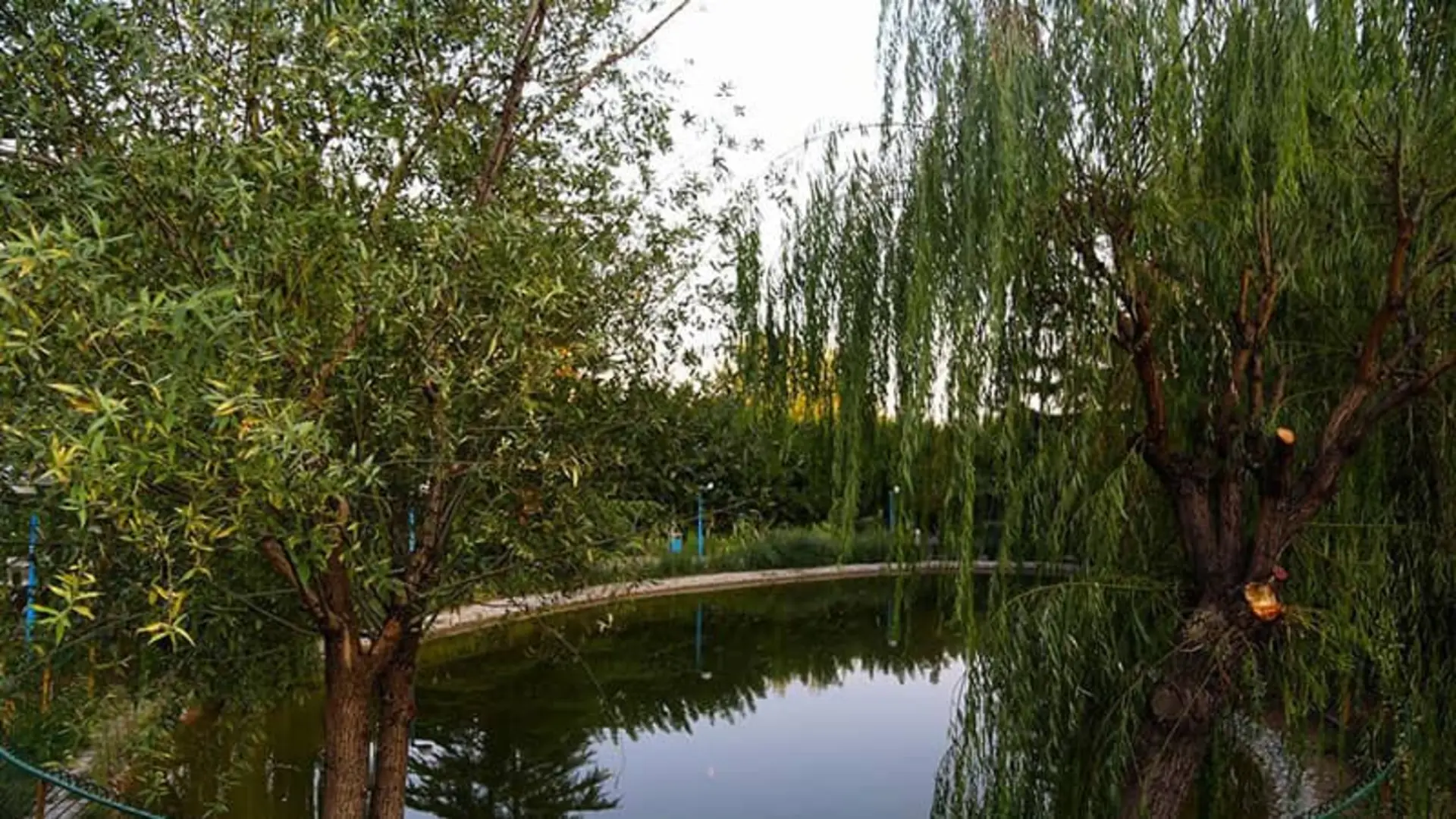 پارک گفت‌وگو تهران