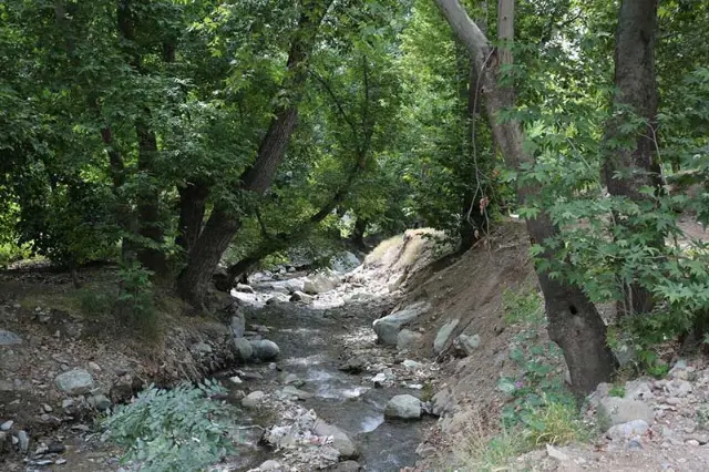 دره فرحزاد