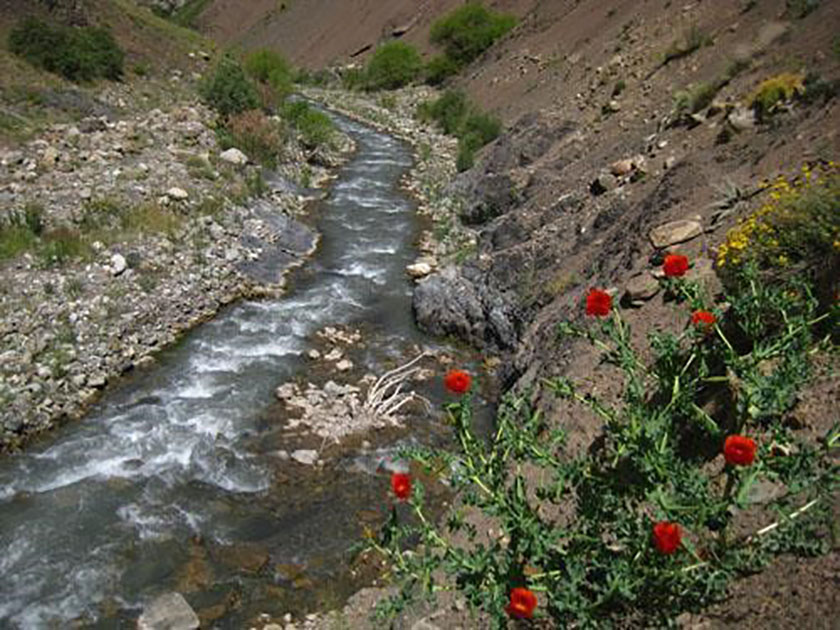 آبشار جنگلک