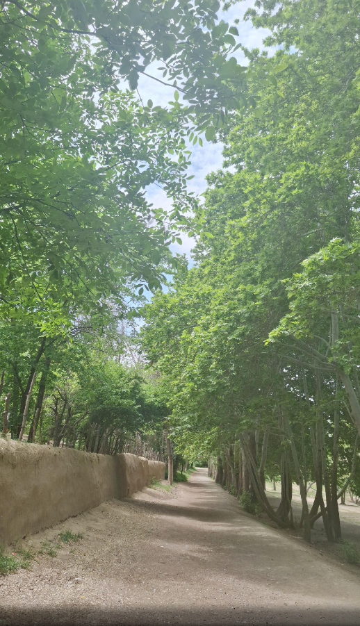 دهکده گردشگری باغستان