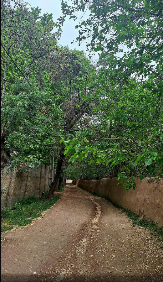 دهکده گردشگری باغستان