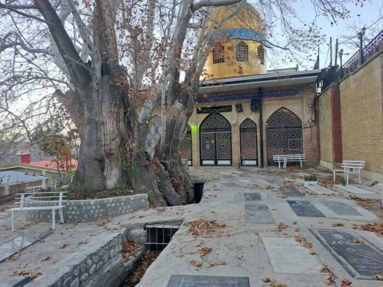 روستای ارنگه روستای ارنگه