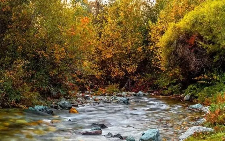 روستای ارنگه روستای ارنگه