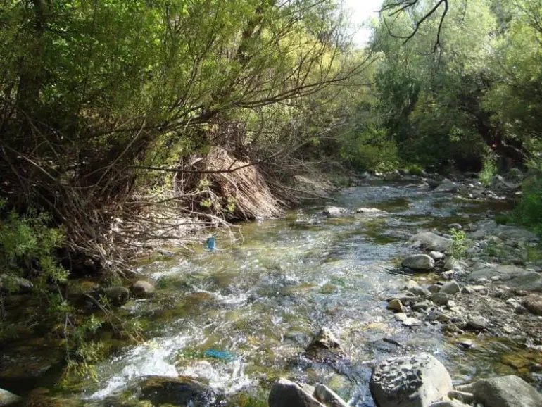 روستای ارنگه روستای ارنگه