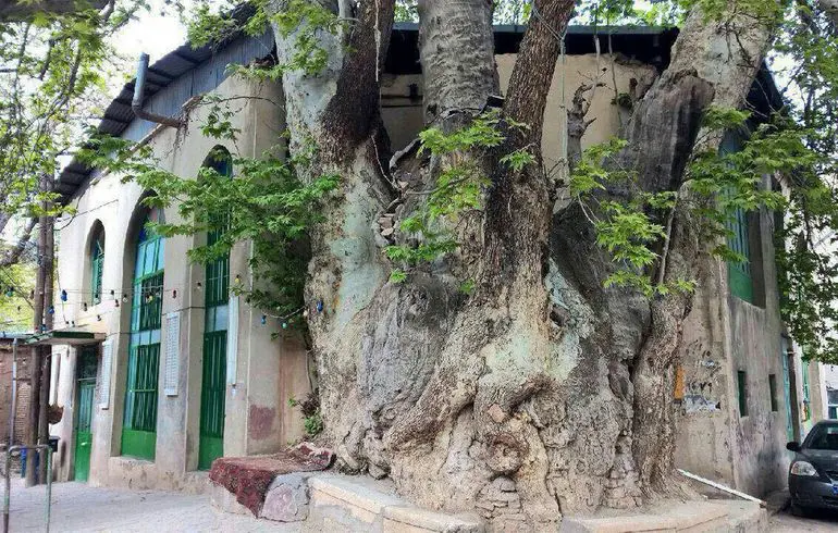 روستای برغان کرج