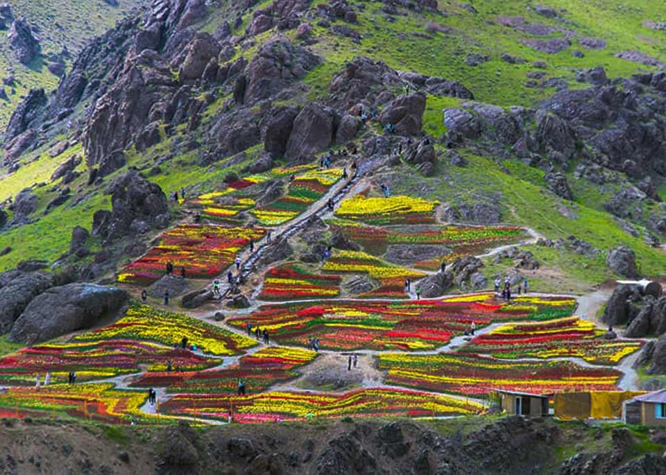 روستای کندر روستای کندر