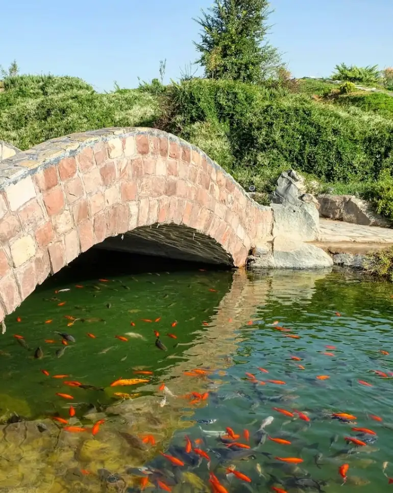 باغ گیاه‌شناسی مشهد