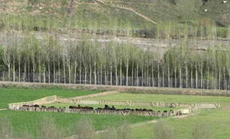روستای ایستا در طالقان روستای ایستا در طالقان