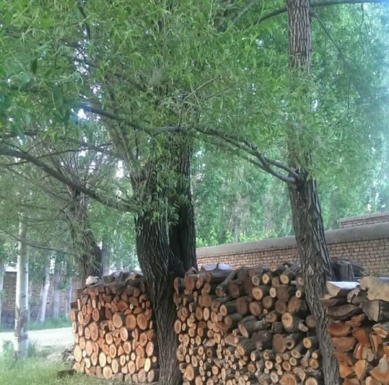 روستای ایستا در طالقان
