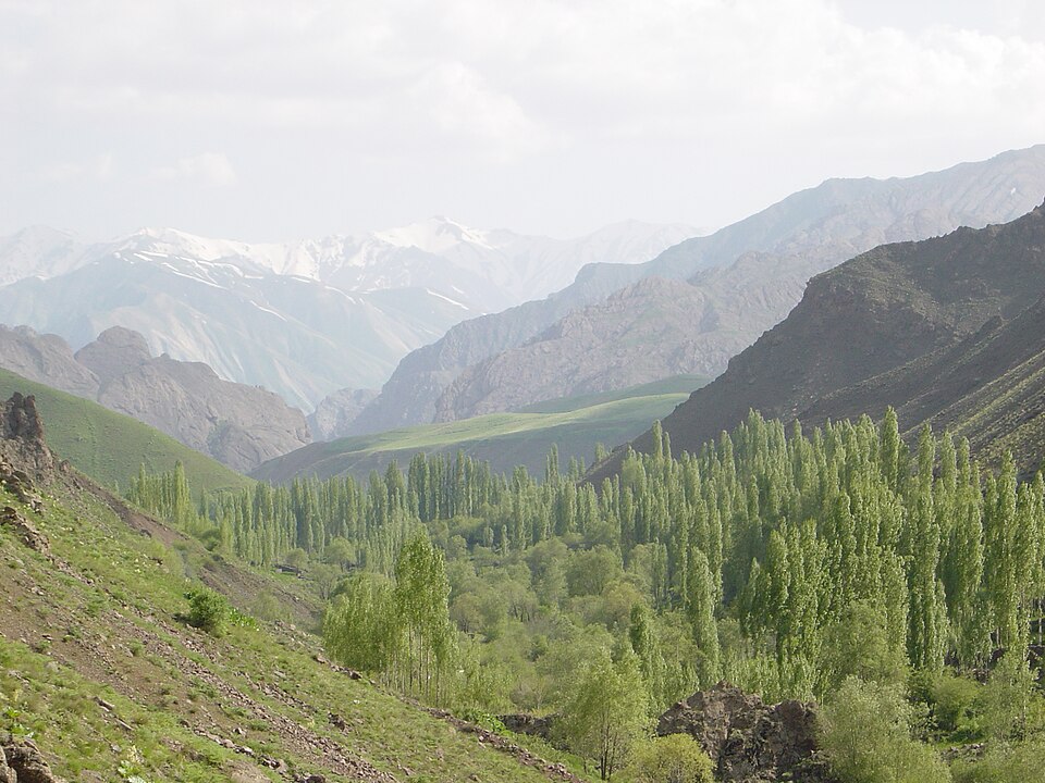 روستای ناریان روستای ناریان