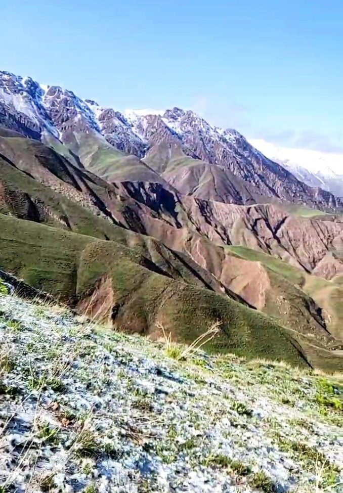 روستای ناریان روستای ناریان