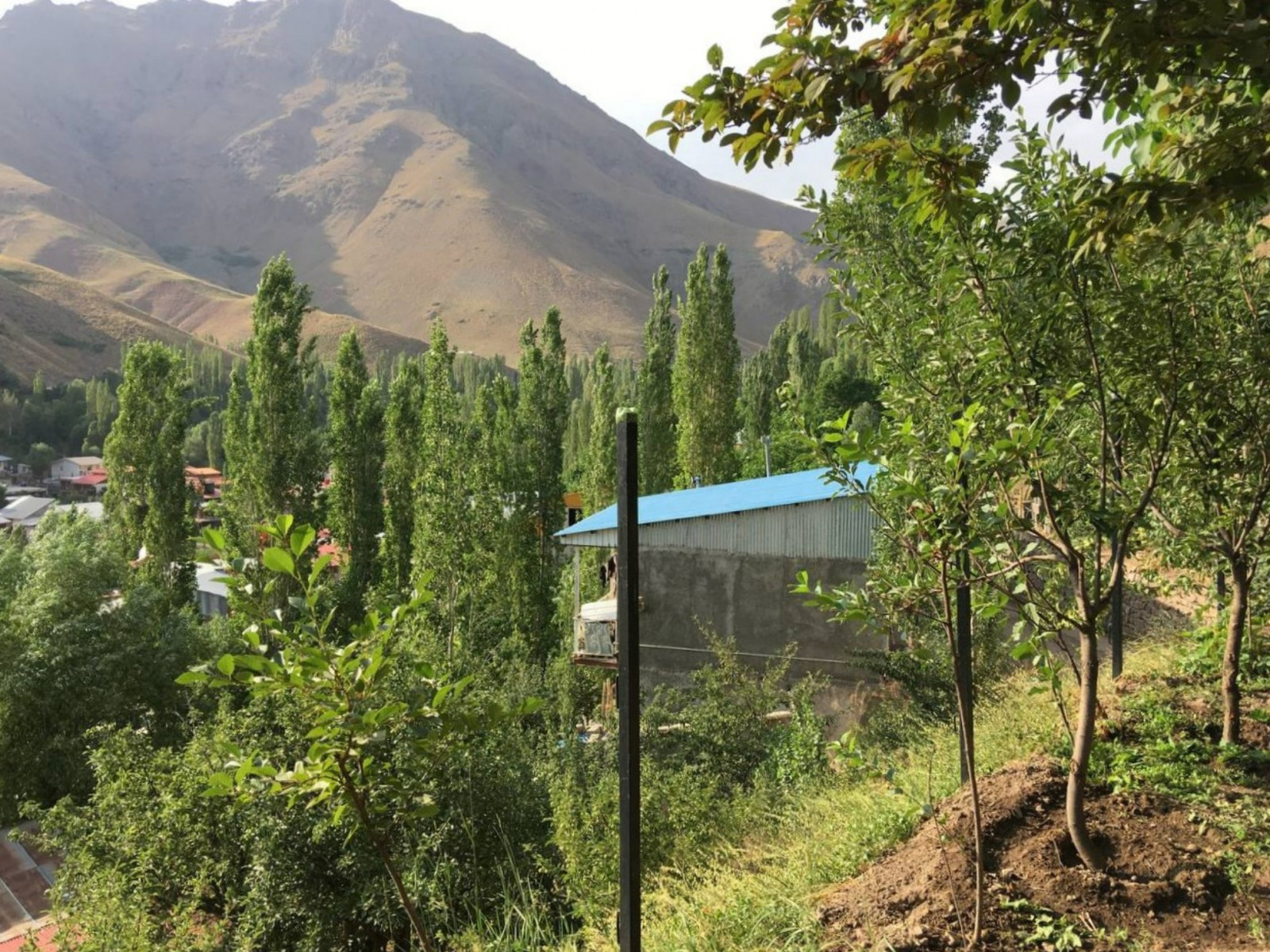 روستای ناریان روستای ناریان