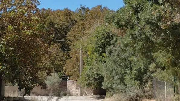کوچه‌های قدیمی کیلان