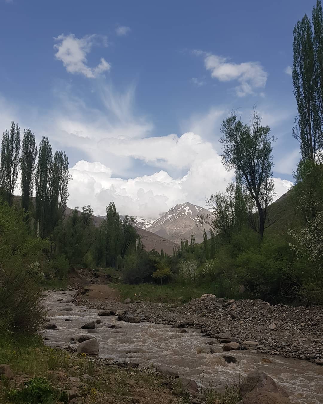 روستای ناریان